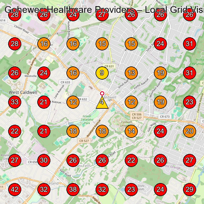 Gohewec Healthcare Providers GeoGrid visibility map for Home Health Care Service in West Caldwell